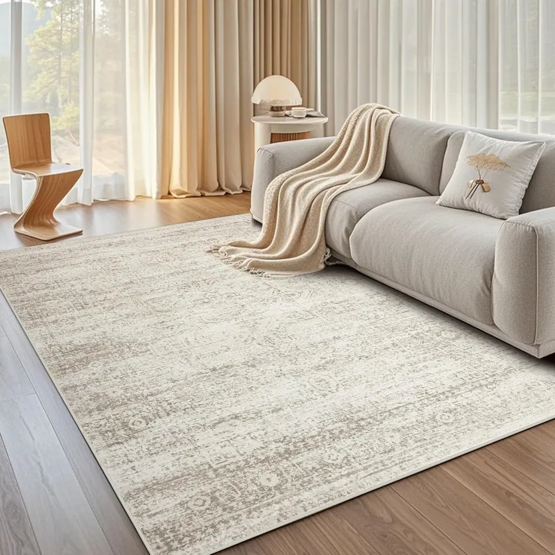 Srugn Washable Area Rug for Living